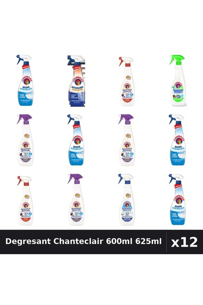 Chanteclair Set 12 Degresant Universal 600ml-625ml - 7 Arome Asortate Curatenie