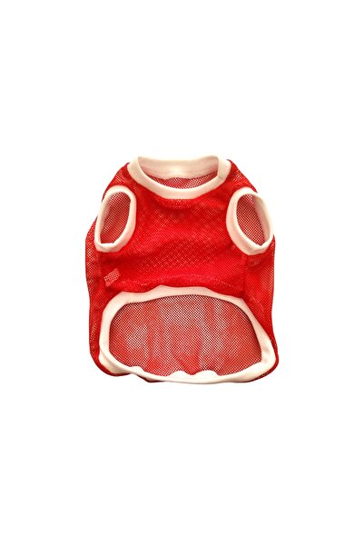 atelyu Cat Dog Outfit Thin Mesh Summer Tshirt