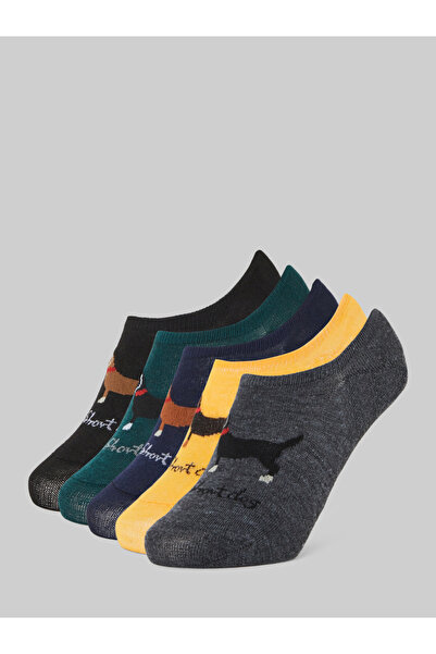 Styli Pack of 5- Dog Print No Show Socks