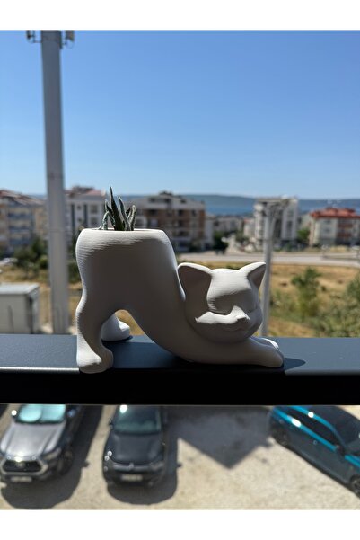 Kedi Temalı Kaktüs Saksısı