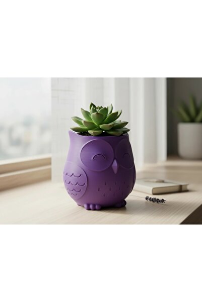 OEM Ghiveci Decorativ Bufniță Stil Japandi - Suport Plante Mici