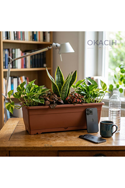 okacih Kiremit Rengi Saksı 11 Lt - Pencere Önü ve Balkon İçin Dekoratif Çiçeklik