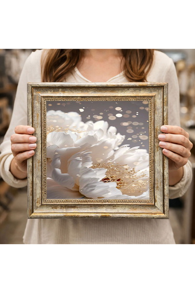 Dekorsiahome Antique Framed Decorative Painting Dk0318