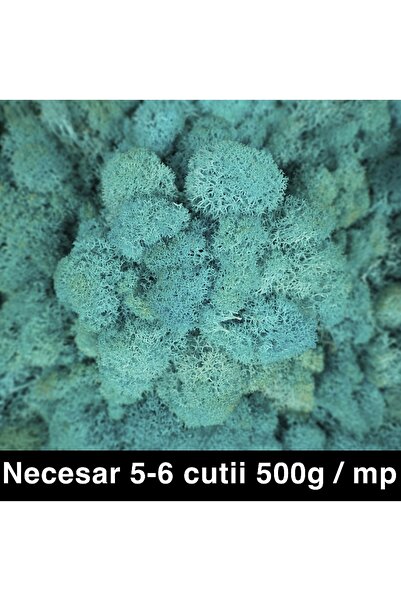 Roberto Rossi Licheni curatati si fara radacina conservati 500g NET, calitate...