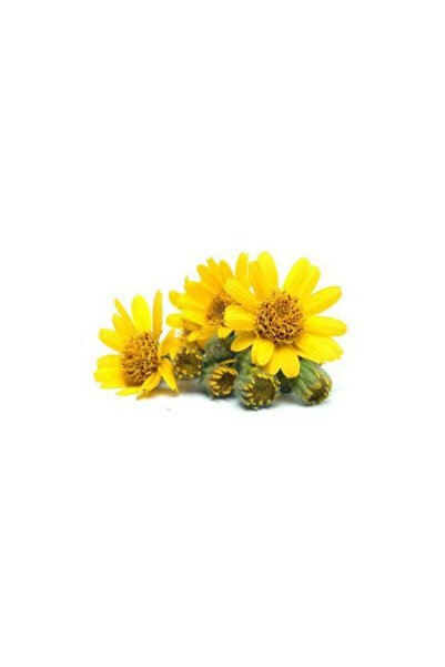 Herbstore.gr Κρέμα Άρνικα
