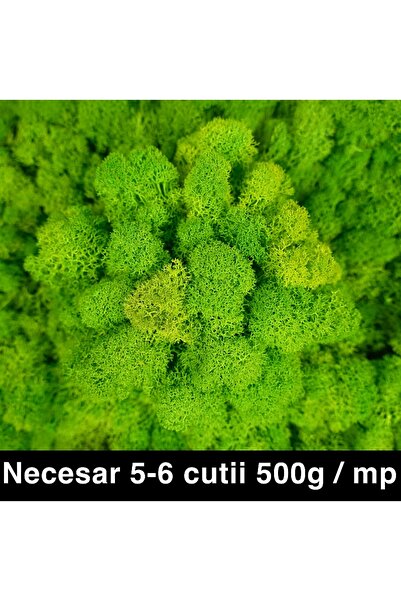 Roberto Rossi Licheni curatati si fara radacina conservati 500g NET, calitate...