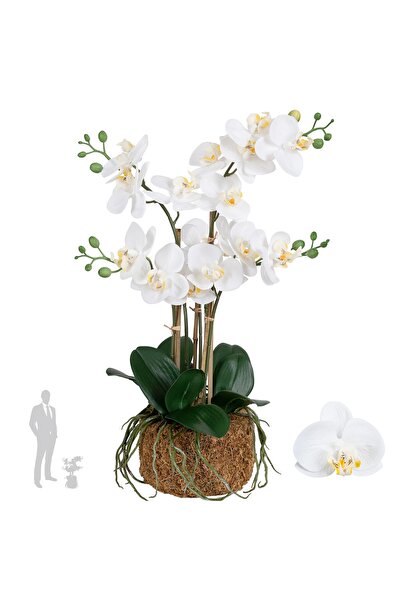 Roberto Rossi Orhidee artificiala alba cu aspect H54 cm cu 5 tulpini
