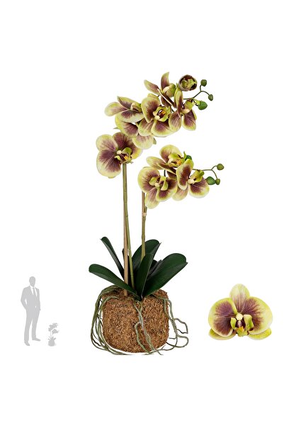 Roberto Rossi Orhidee artificiala verde cu grena cu aspect H53 cm cu 2 tulpini