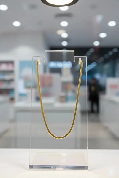 Miniso Italian Chain Stainless Steel Necklace Gold Color – Minimalist Women's...