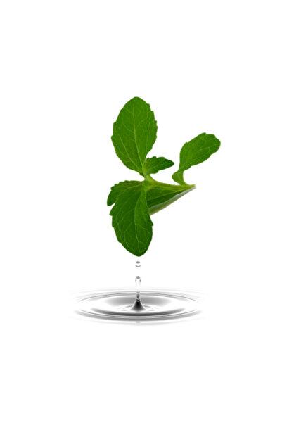 Herbstore.gr Στέβια Υγρή - 1Ltr