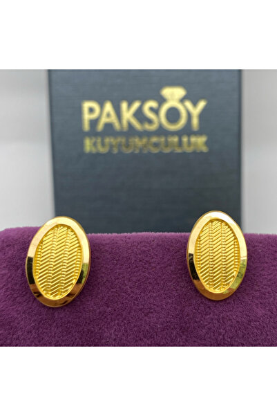 paksoy kuyumculuk 22 Ayar Küpe 1.77gr Kadın Hediye - K01157