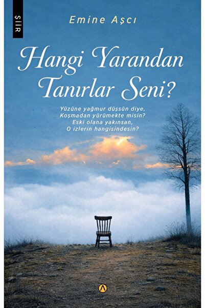 Ares Kitap Hangi Yarandan Tanırlar Seni? - Emine Aşçı