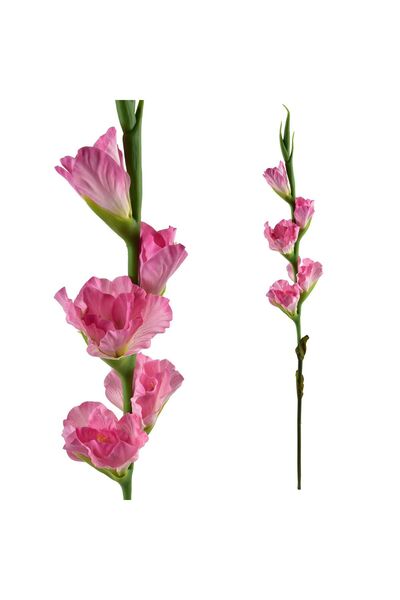 MONDEX Gladiole artificiale cauciucate Viridis 85 cm Roz 1 bucată