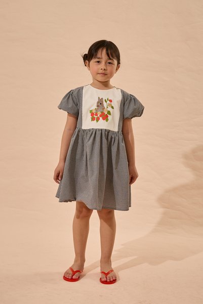 Fahhar Kids Rabbit Embroidered Gingham Dress Black
