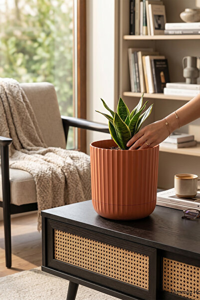 TEMMUZ HOME Zeraf Saksı No:3–1 Adet 4.6 Litre Tabaklı Masa veSehpa Üzeri Saks...