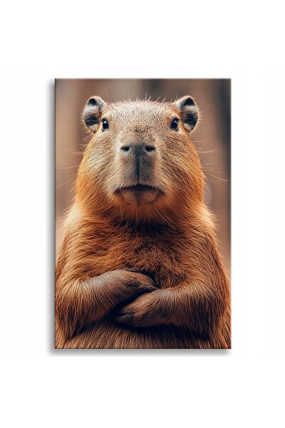 DecoWalls Tablou Capibara, Deco Walls, Digital Print, Pentru Camera De Zi, Fa...