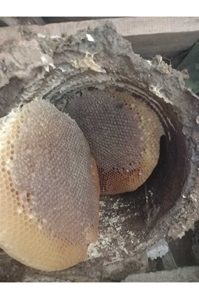 BALCI BEY %100 DOĞAL SEPET KARAKOVAN BALI