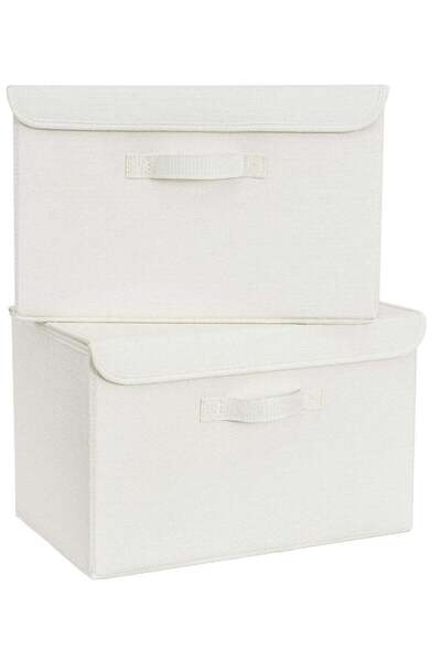 Hanayo Large Storage Bins with Lids, Pack of 2 Closet Storage Boxes for Shelv...