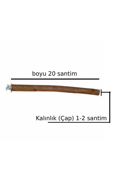 X-Perk Doğal Ağaç Papağan Kuş Tüneği Tünek Boy 20 Santim Çap 1-2 Santim