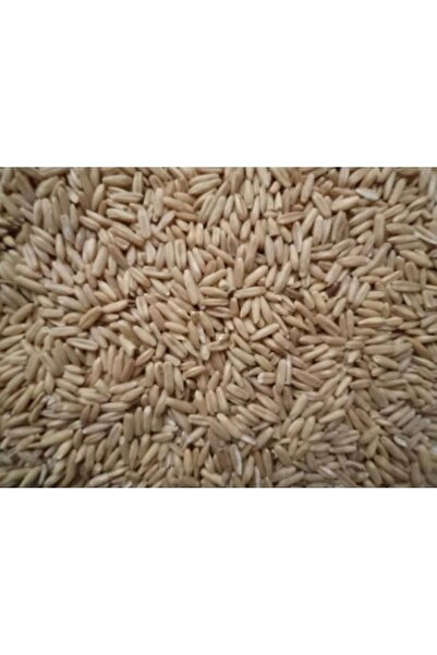 Harmony Βρώμη 1kg