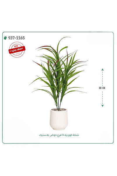 OEMS شجر كورديلا صناعية ( ارتفاع 80 سم ) حوض بلاستك