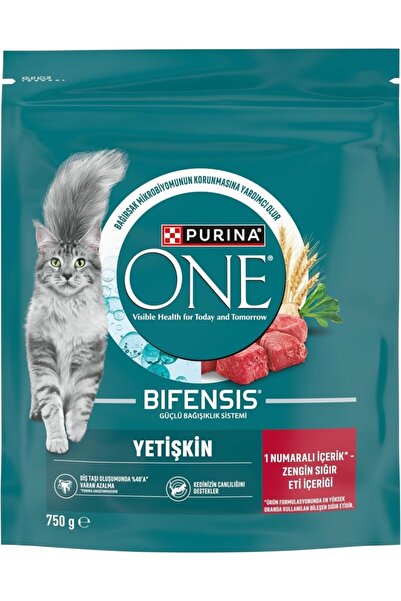 Purina One Sığır Etli Yetişkin Kedi Maması 750gr