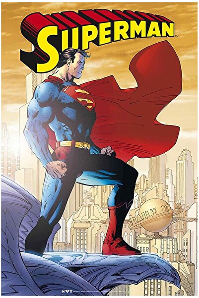 ESSESORIES DC Comics Superman Movie Poster Wall Art Room Decor Self Adhesive