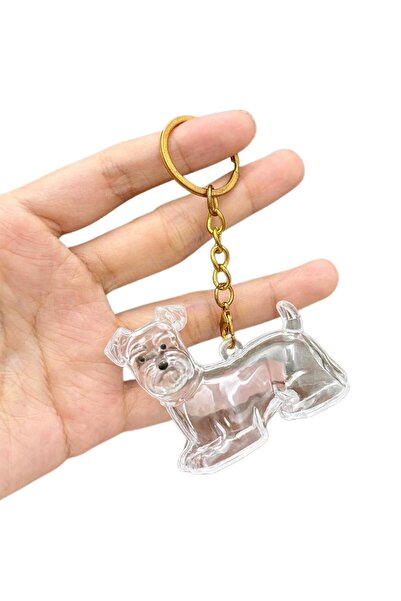 Choice4 F Dog Hair Collection Pendant Hair Storage Box Charm Pet Cute Keychai...