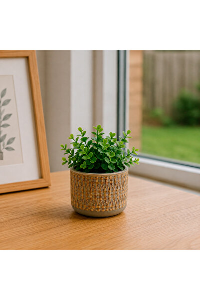 Generic Ceramic pot in a decorated clay color with a wooden base