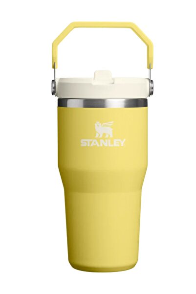 Stanley The iceflow flip straw 2.0 tumbler 0.59l colorful
