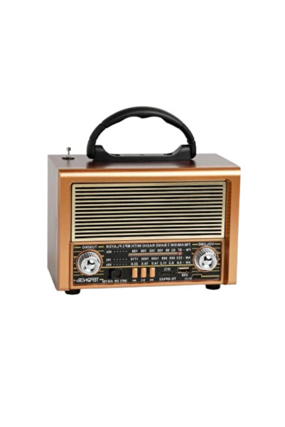 TEFONER TE-SP022 Retro Portable Radio – Classic Design with USB & TF Support ...