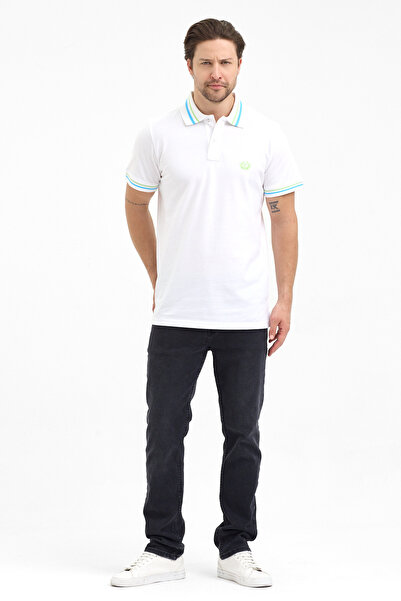 PAOROSS Men's Classic Cut Multi-Colored Polo Collar T-Shirt