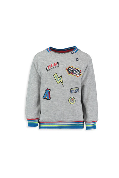 LC Waikiki Sweatshirts - Boys, Sweatshirts - Girls
