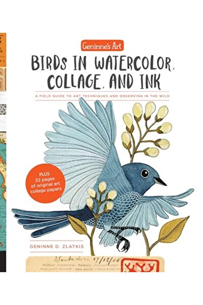 Hachette Geninnes Art Birds In Watercolor Collage And Ink A Field Guide To Ar...