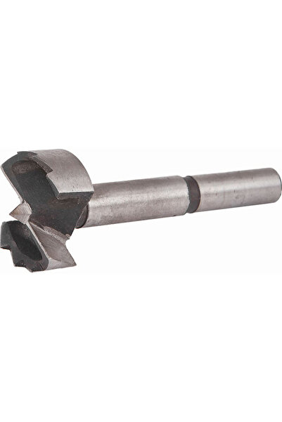 Raider Φρέζα για ξύλο 30mm x 8mm