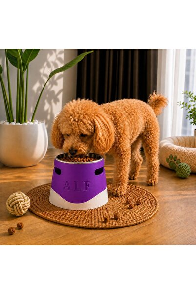 Day İsime Ozel Ortapedik Mama Ve Su Kabı Çelik Keseli Standlı Kedi Ve Köpek Mama Su Kabı