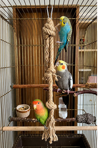 Mivra Pets Papağan Kuş Stres Halatı | 40 cm | Kuş Kafesi Aksesuarı