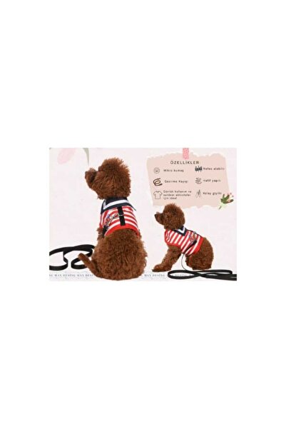 Max Marina Dog Collar