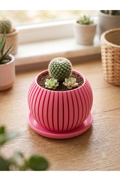 The Lucky Store Minimalist & İskandinav Tarzı Sukulent