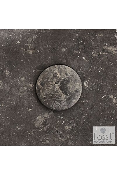 Fossil TPM01-410 Κάλυμμα Βαλβίδας Γκρι Malin