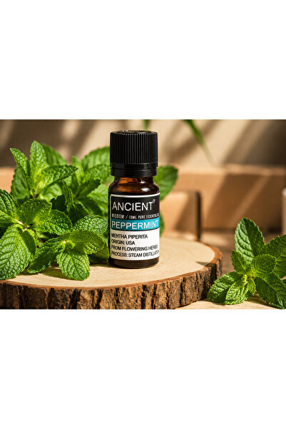 Ancient Wisdom s.r.o. Ulei Esențial de Mentă 10ml pur