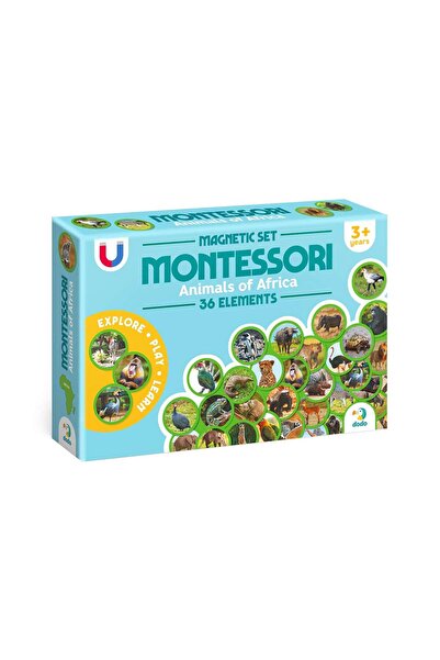 Generic Montessori Magnetic Set Animals in Africa Dodo Toys