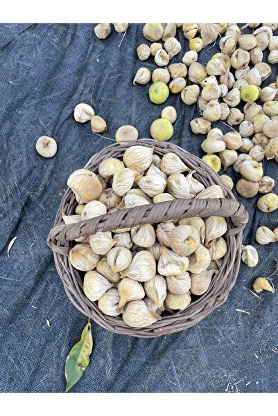 Orta Boy Lüks İncir 1 / Kg