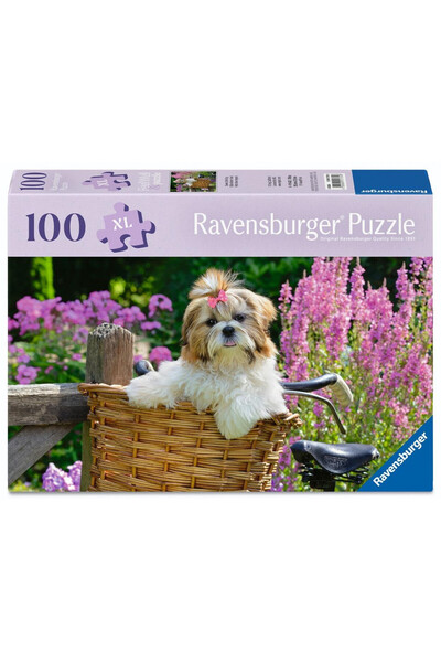 RAVENSBURGER Puzzle/puzle Feel Well pentru seniori, piese XL, Multicolor, 100...