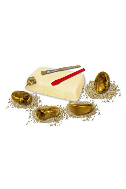 Z Store Set de săpături pentru descoperirea aurului - Jucărie distractivă de ...