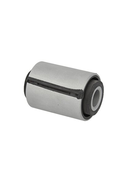 STR Bucsa Arc (57x20) Man Tgm I 10.05-03.22 MAN TGM 1