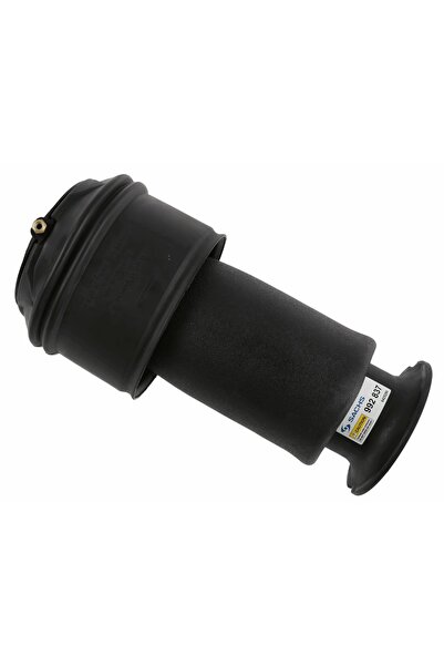 SACHS Perna de Aer Spate Dreapta/Stanga Citroen C4 Grand Picasso I C4 Picasso...