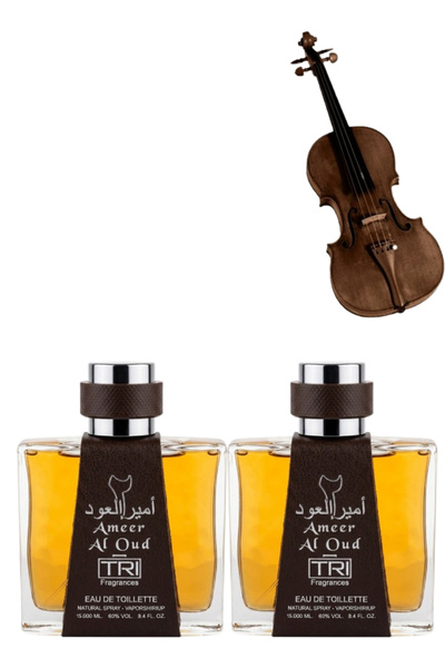 trı قطعتان من عطر أمير العود 100 مل
