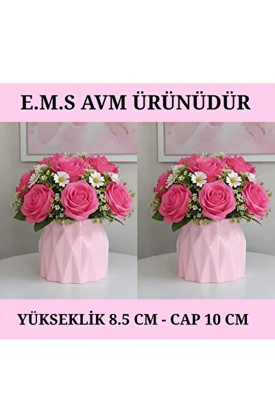 E.M.S AVM 2 ADET PASTEL PEMBE RENK BÜZGÜLÜ SAKSI SUKULENT MENEKŞE SAKSISI DEK...