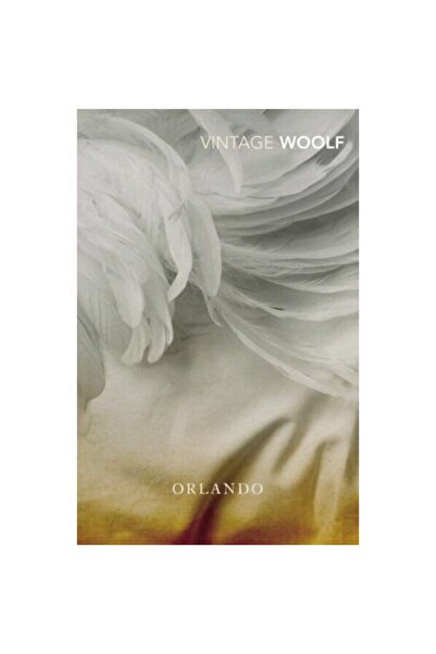 Vintage Orlando (Vintage Classics)